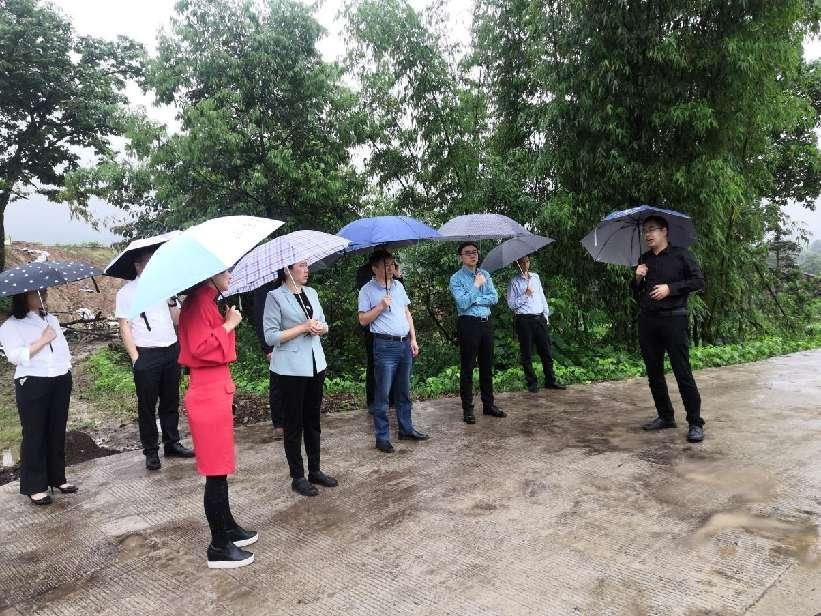 1653964069854055521.png 圖片4.png