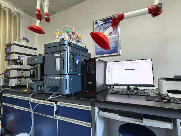 1756777255739078703.png 圖片3.png