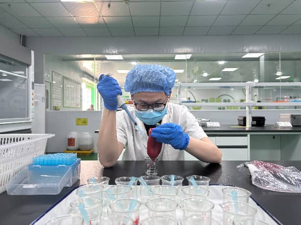 1772272646207096958.jpeg 11.jpeg